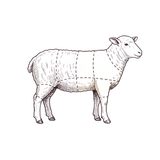Lamb