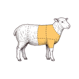 Lamb